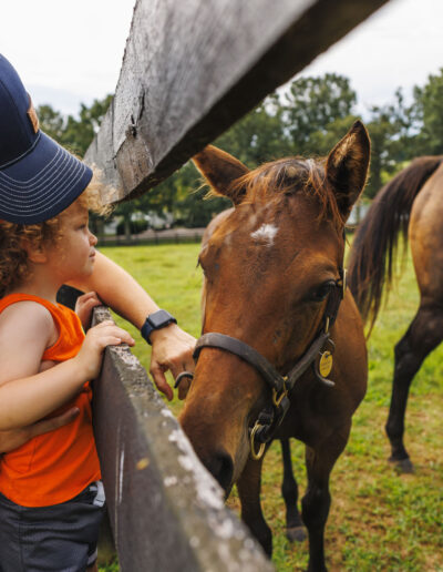 Child and adult petting horse in Lexington, Kentucky