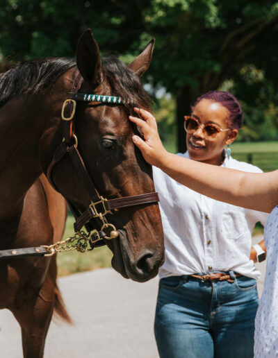 Woman petting a horse in Lexington KY