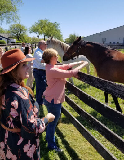 Feeding horses in Oldham County, Kentucky